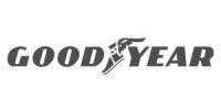 goodyear-grises-securityw